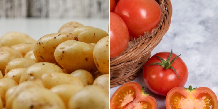 Preço da Batata Cai e Contribui para Sexta Queda Consecutiva no Valor da Cesta Básica